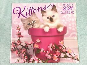 2021 Kittens Wall Calendar 22” x 12” New in Sealed Cellophane