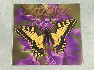 2021 Butterflies Wall Calendar 22” x 12” New in Sealed Cellophane