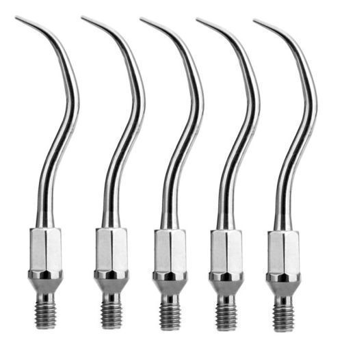 5pcs ultrasonic dental scaler perio scaling tip gk1 fit kavo. for sale