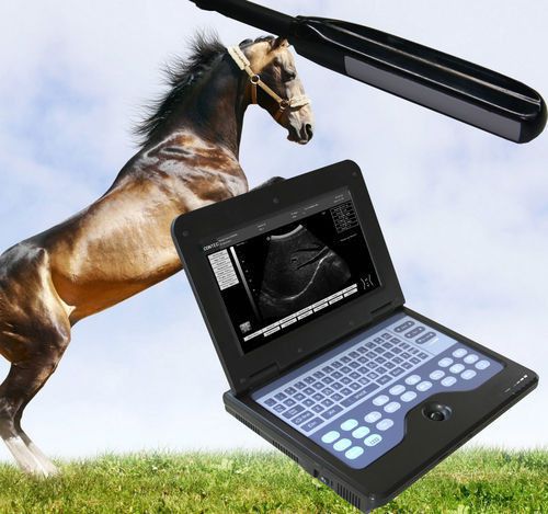 NEW, VET Veterinary Laptop Ultrasound Scanner Machine 7.5mhz Rectal linear probe