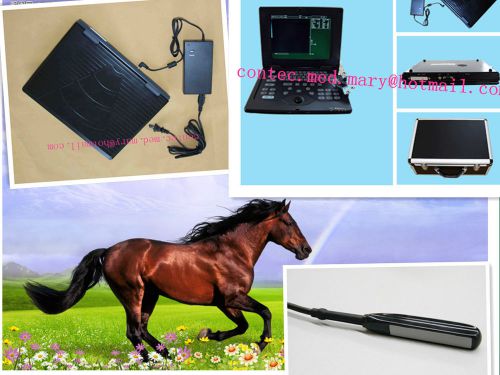Cms600p veterinary portable laptop ultrasound scanner 6.5m rectal probe for vet for sale
