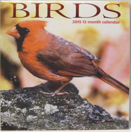 2015 Wall Calendar 12 Month Birds Office Organizer Daily Planner Agenda Cardinal