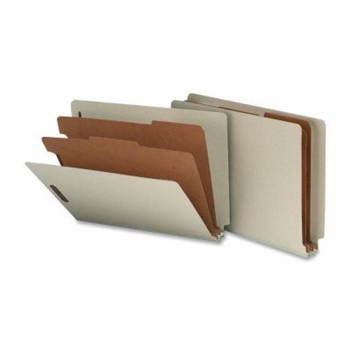 Nature Saver End Tab Folders,2 Dividers,Letter, 10 per Box (NATSP17252)