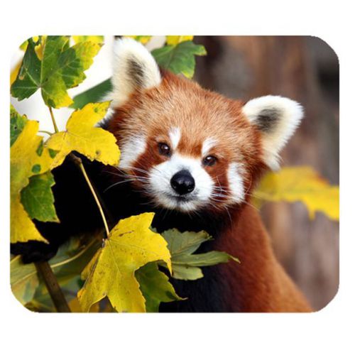Hot Custom Mouse Pad with Red Panda Style Great to makes a gift