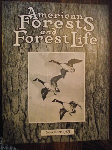 1929 NOV~ AMERICAN FOREST MAGAZINE ~ AMERICAN FORESTY ASSOCIATION ~ VERY NICE