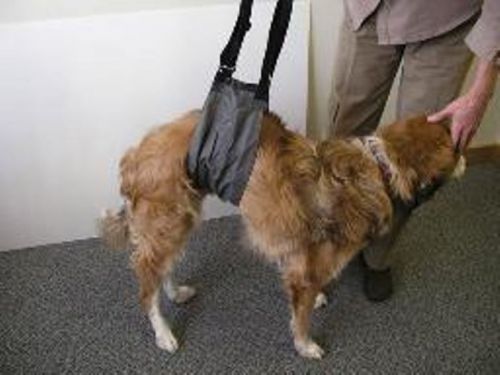Vet Supply J0743 Jorgy EZ Lift Harness Small Canine Dog Hind End Weakness Vet