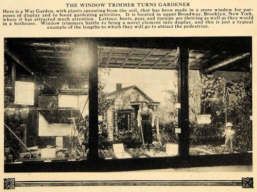 1918 print window trimmer gardener war broadway display original historic ilw2 for sale