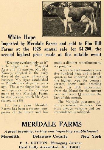 1928 ad meridale farms white hope cow mckinney ayer - original advertising cl8 for sale