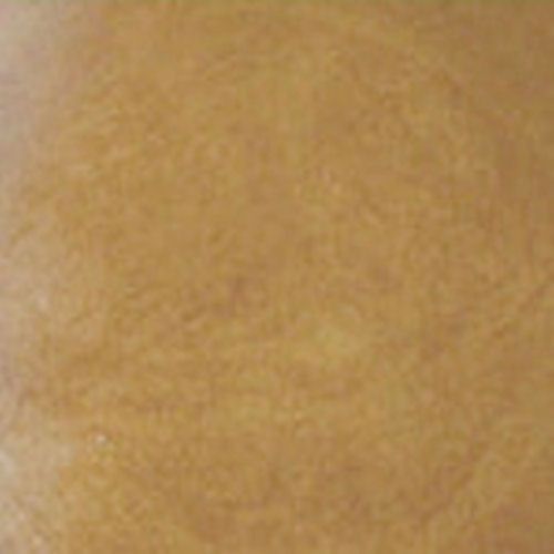 Tru Tint Concrete Acid Stain - Desert Tan, 1 Gallon