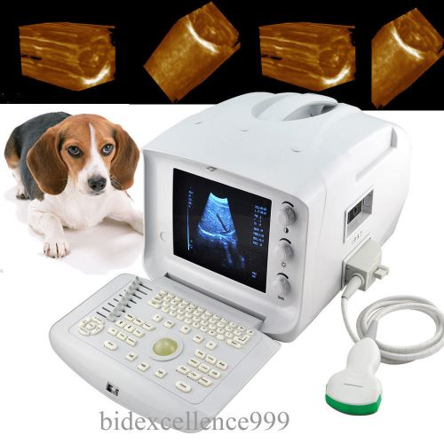 Veterinary portable digital ultrasound scanner machine convex probe external 3d for sale