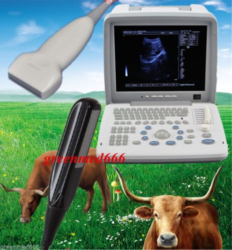 Vet veterinary ultrasound scanner digital machine+liner&amp;rectal probe 3d horsecow for sale