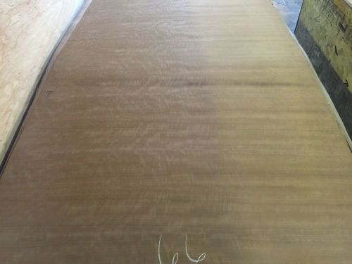 Wood Veneer Figured Makore 86x42 1pcs total 20Mil Paper Backed  &#034;EXOTIC&#034; BRP 66