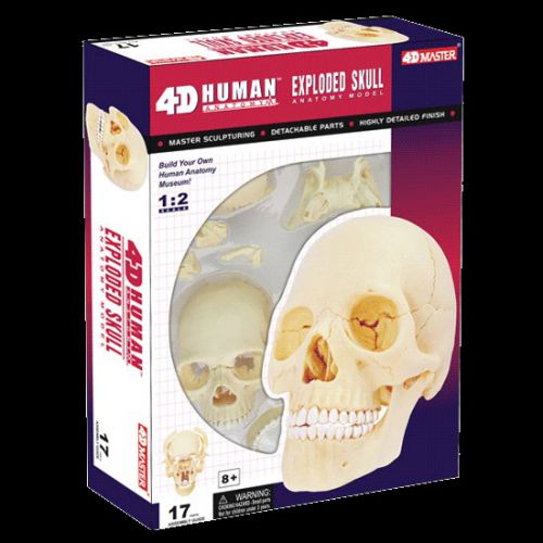 4D Human Anatomy Exploded Skull Model 3D Puzzle