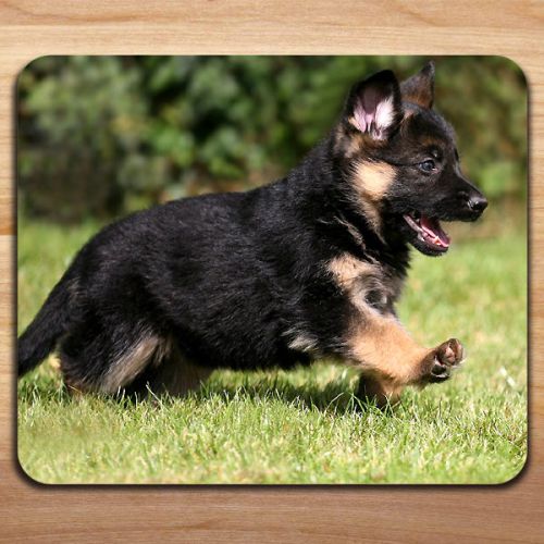 Cute German Shepherd Puppy Running in The Garden Mousepad Mouse Pad Mat