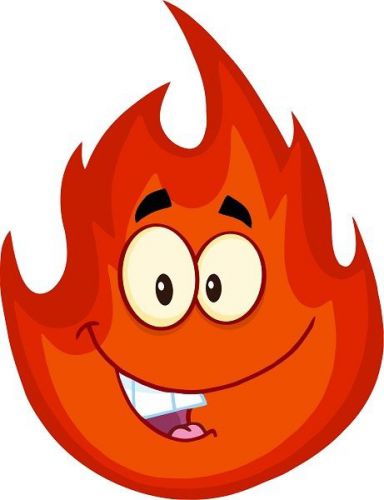 30 Custom Cartoon Fire Personalized Address Labels