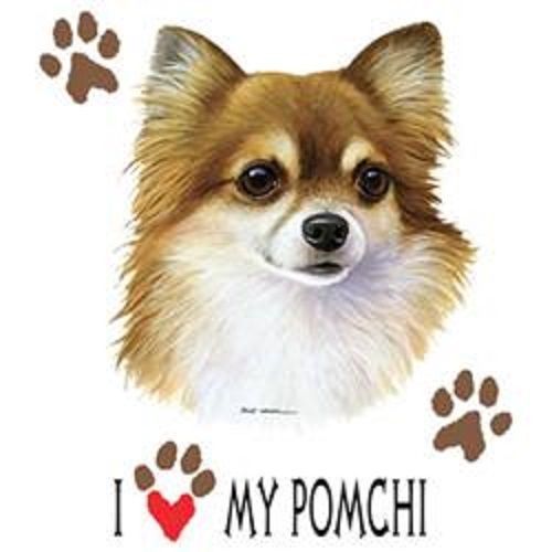 I Love My Pomchi Dog HEAT PRESS TRANSFER for T Shirt Tote Sweatshirt Fabric 893m