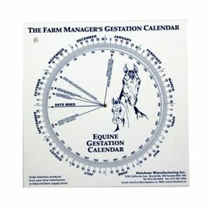 Equine Gestation Calendar Calculate Foaling Breeding