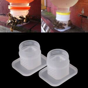 2x Bee Drinking Fountain Bee Queen Bee Water feeder Equipment H SF