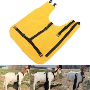 Anti Mating Odor Control Urine Scald Apron with Harness For Goats/Sheep Yellow
