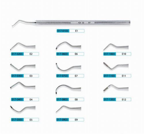 10Pcs KangQiao Dental Instrument Curettes E2 (eight-angle handle)