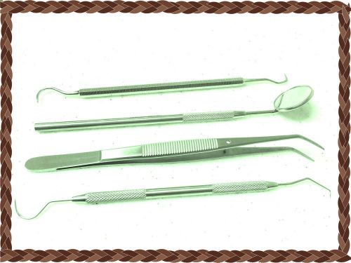 4 Each   Dental Tarter Scraper and Remover Set Dental Instruments