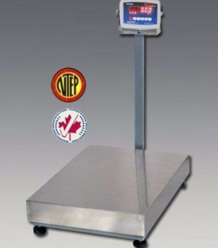 BENCH SCALE/PLATFORM/SHIPPING/STAINLESS/SCALES