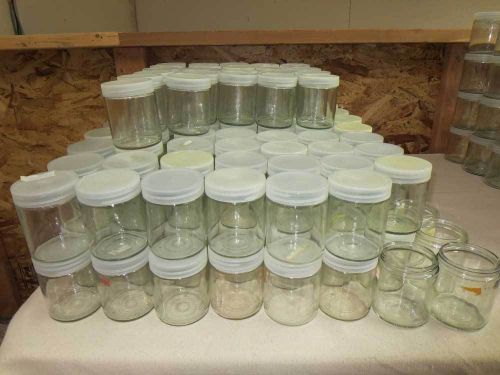 Lot of 48 Lab wide-mouth glass jar with plastic screw cap 3x3.5&#034;