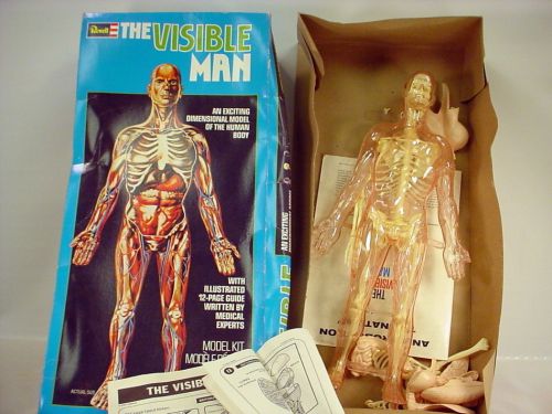 Vintage REVELL The VISIBLE MAN Model Kit H-900 Dimensional Educational Anatomy