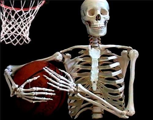 Life size anatomical skeleton(male)model 180cm for sale