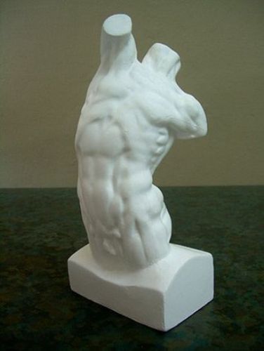 Plaster Casting Human Male Torso Model