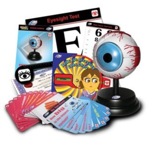 Ophthalmology education set with human eye anatomical model for sale