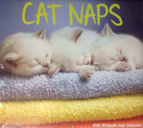 NEW -2015- Cat Naps 11&#034; X 12&#034; Wall Size -16 Month Calendar SEALED.