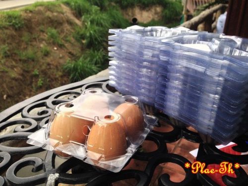 Eggs Box Storage Container Plastic Clear Carton Carry Camping Kitchen Duck Hen