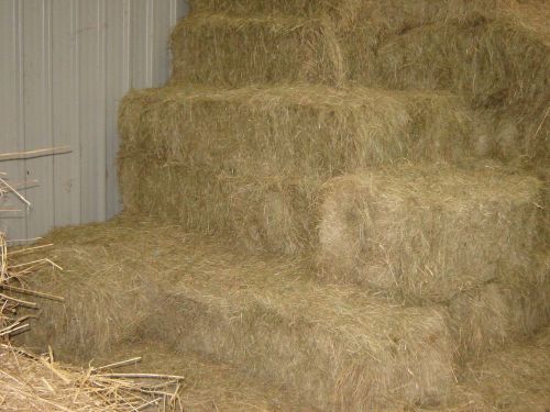 bales of hay