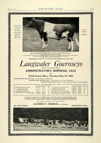 1922 Ad Leander F. Herrick Langwater Gurnsey Dairy Cow Cattle Livestock COL2