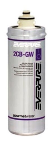 Everpure EV961836 2CB-GW Water Filter Cartridge