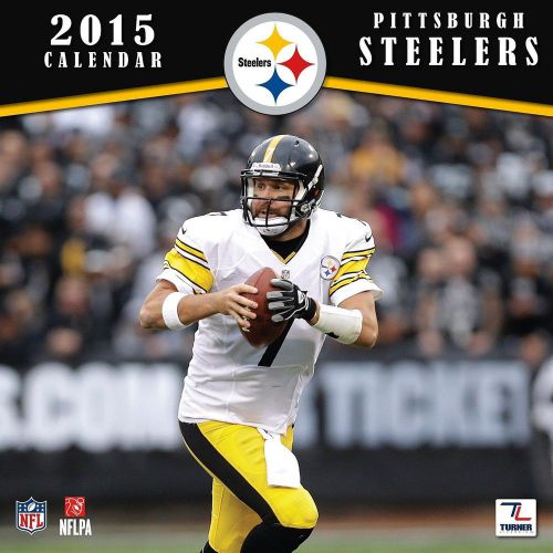NEW - Official 2015 NFL Monthly Wall Calendar PITTSBURGH STEELERS TEAM 12&#034; x 12&#034;