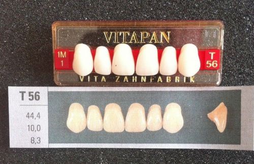 Vitapan Denture Teeth  T56    1M1