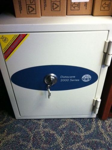 Phoenix Datacare 2000 Series fireproof safe
