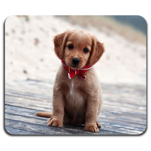 Cute Puppy Dog Best Friend Little Home Pet Cool Computer Mouse Pad Washable Mat