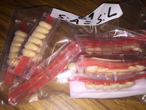 LOT OF- New Hue Plastic Teeth Cards 5 UPPER 5 LOWER SHADE 69 ))
