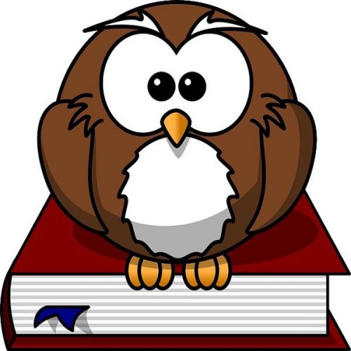 30 Custom Learned Owl Personalized Address Labels