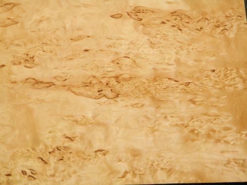 Masur birch raw wood veneer 8 x 34 inches, 1/42nd thick   7626-34