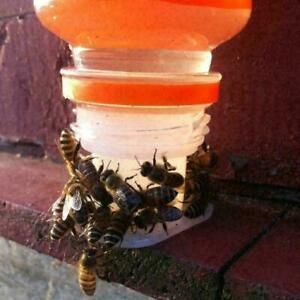 Bee Drinking Fountain Bee Queen Bee Water feeder Equipment Keeping Z8C7 A1X7