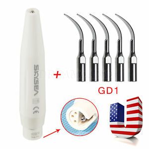 Autoclave Dental Ultrasonic Scaler Handpiec /5* E/P/G Tips fit DTE SATELEC K#JN