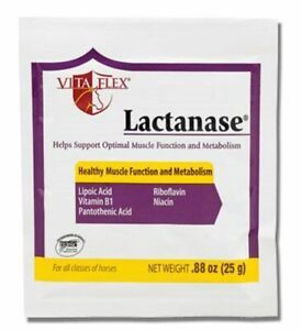 Vita Flex Lactanase Formation of Acetyl Coenzyme A Cellular Energy 25gm packet