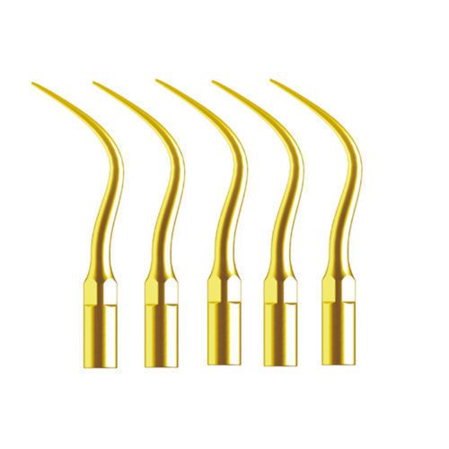 5pcs dental scaling perio tip p4t titanium coated fit ems &amp; woodpecker for sale