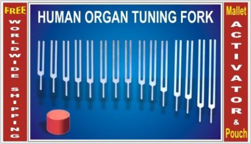 Human organ therapeutic healing 15 tuning forks with free activator &amp; pouch for sale