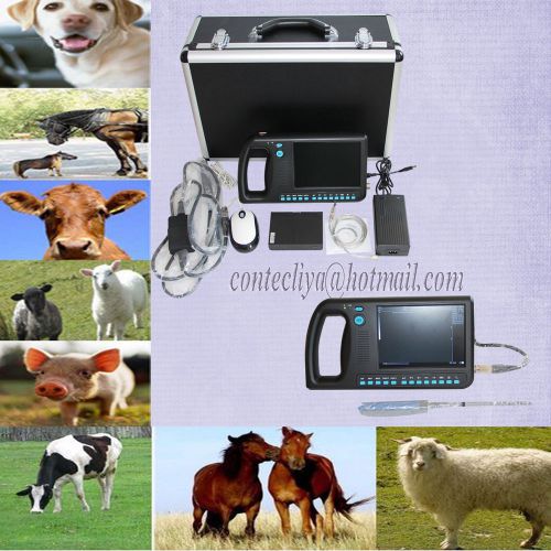 2014 VET Veterinary,Software Digital PalmSmart Ultrasound Scanner+Rectal Probe