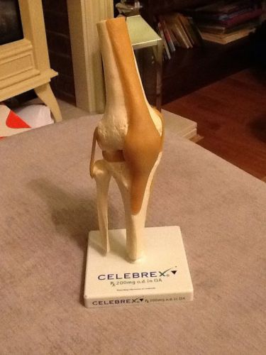 Anatomical Model &#034; FLEXIBLE LIGAMENT KNEE JOINT &#034; Celebrex